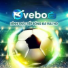 vebozttcc