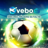 vebozuucc