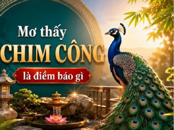 nam mo thay chim cong tot hay xau